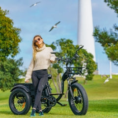 GRANDTAN M-340 Electric Trike