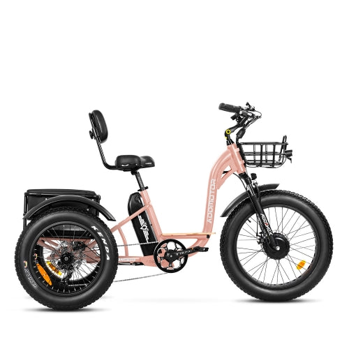 GRANDTAN M-340 Electric Trike