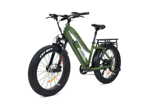 Flatlander ST 24 - Bakcou